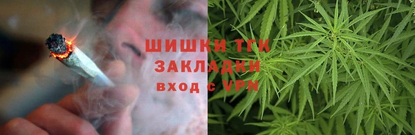 прущие крисы Гатчина