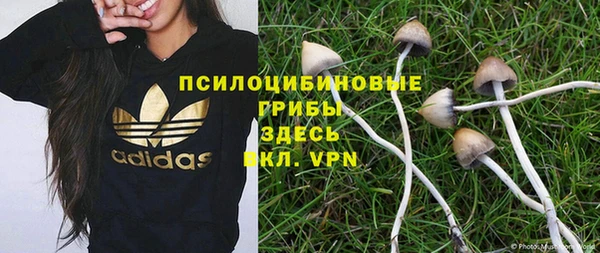 PSILOCYBIN Алексин