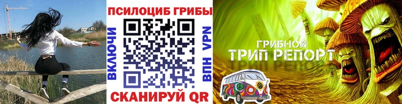 Псилоцибиновые грибы ЛСД  продажа наркотиков  Обоянь 