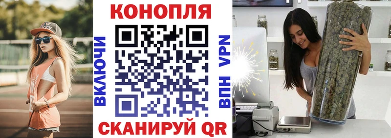 Бошки Шишки планчик  Обоянь 